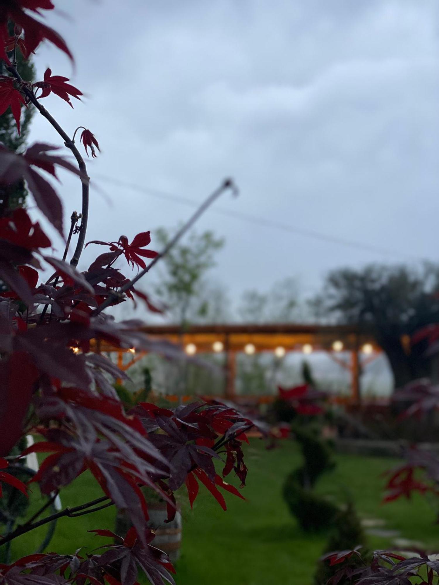 Hotel Restaurant Natyra E Qete Lezhë Dış mekan fotoğraf